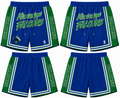 MS Falcons & Lady Falcons Shorts